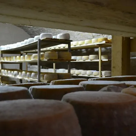 مزرعة للإقامة Masseria Revinaldi كاستل دل مونتي