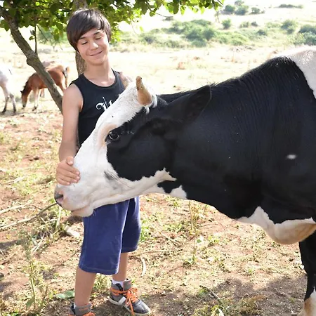 Farm stay Masseria Revinaldi Castel Del Monte (Apulia)