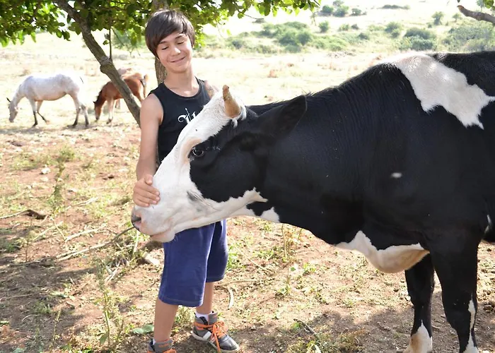 בית חווה Masseria Revinaldi קסטל דל מונטה